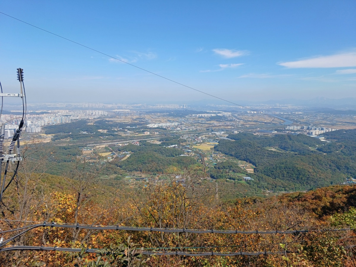 d3d553dda9782bbf4f7933bf7e897d2c_1792236223_4579.jpeg