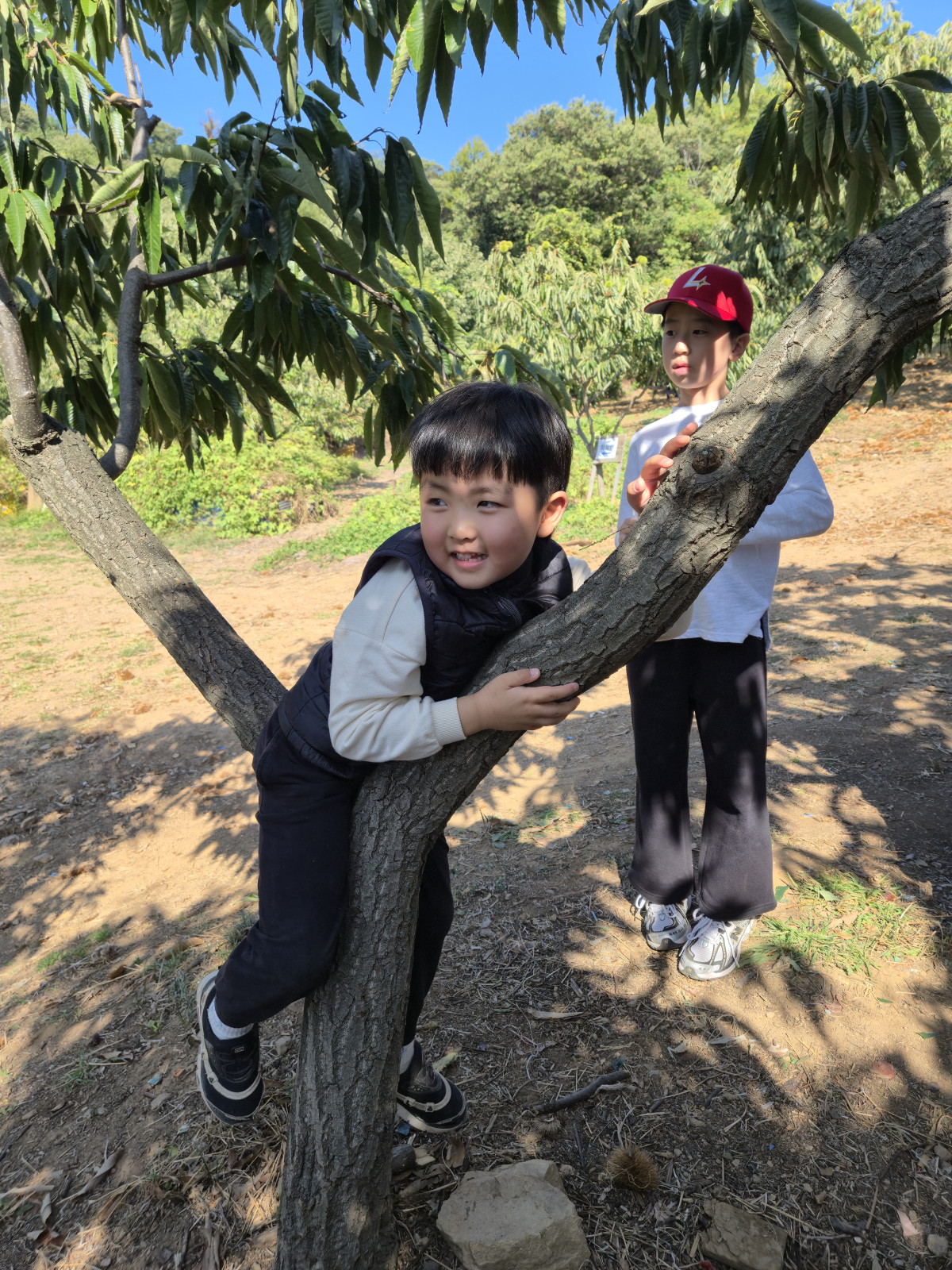 d3d553dda9782bbf4f7933bf7e897d2c_1792236384_6708.jpeg